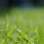 OGŁOSZENIA PARAFIALNE – 04.07.2021 – XIV  Niedziela zwykła.